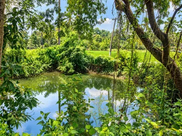 Natural pond at Jasper Farms